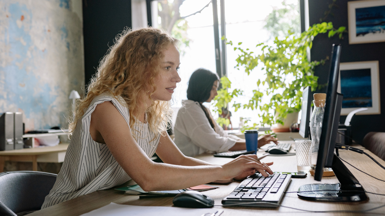 Who Can Use the Vahika Portal?