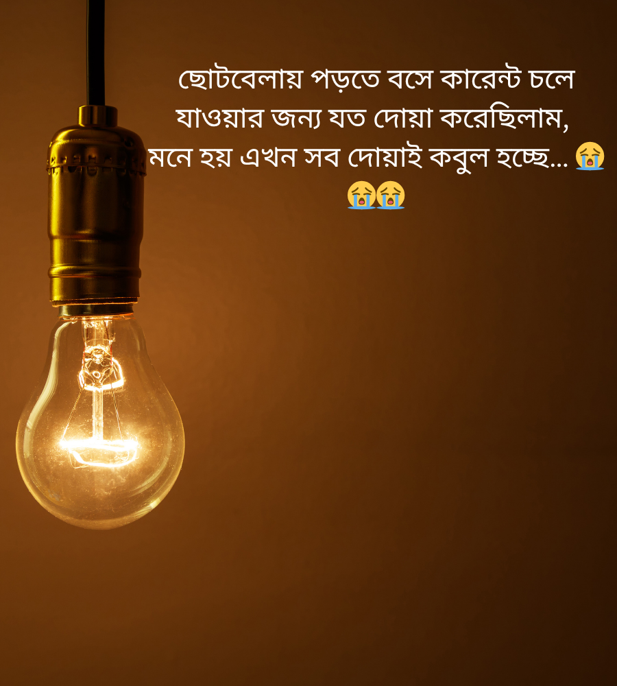 কারেন্ট নিয়ে ফানি ক্যাপশন