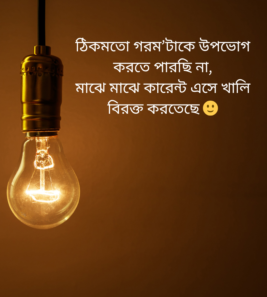 কারেন্ট নিয়ে ফানি স্ট্যাটাস